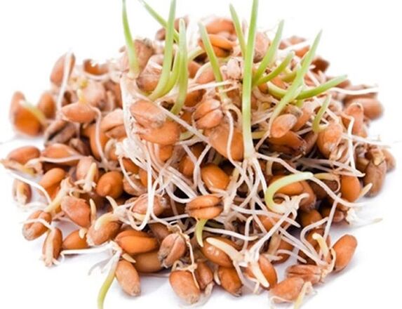 Clean Forte contiene chicchi germinati di frumento, avena e mais