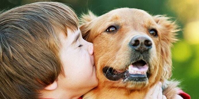Il ragazzo bacia il cane e viene infettato dai parassiti